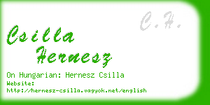 csilla hernesz business card